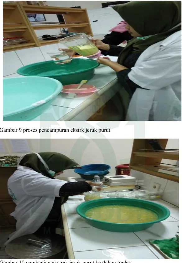 Gambar 9 proses pencampuran ekstrk jeruk purut 