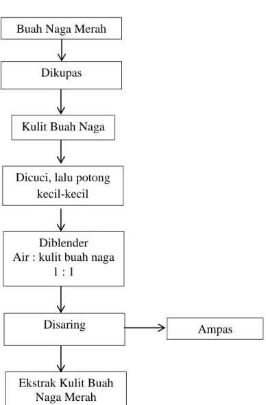 Gambar 4. Diagram Proses Pembuatan Ekstrak Kulit Buah Naga Merah Buah Naga Merah 