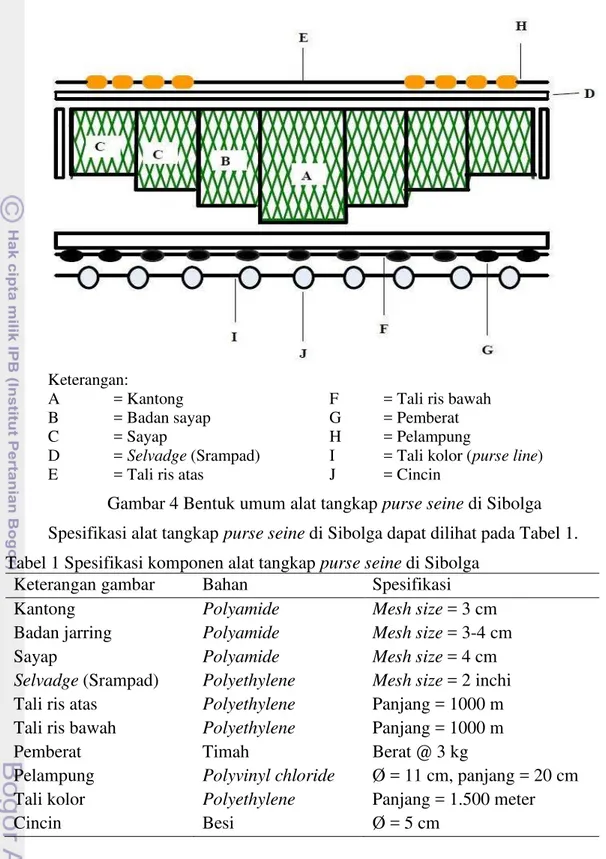 Gambar 4 Bentuk umum alat tangkap purse seine di Sibolga  Spesifikasi alat tangkap purse seine di Sibolga dapat dilihat pada Tabel 1