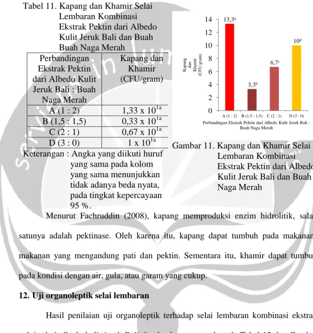 Gambar 11. Kapang dan Khamir Selai                       Lembaran Kombinasi                       Ekstrak Pektin dari Albedo                      Kulit Jeruk Bali dan Buah                       Naga Merah 