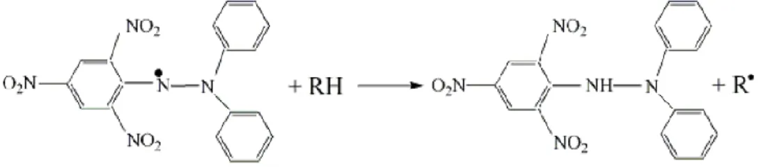 Gambar 8. Reaksi DPPH dengan senyawa antioksidan   (Sumber : Molyneux, 2004). 