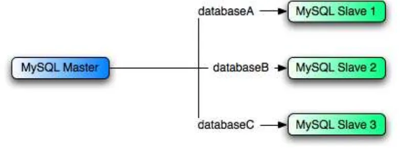 Figure 6.2. Using replication to replicate separate DBs to multiple hosts