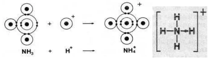 Gambar 13. Pembentukan Ikatan Kovalen Koordinasi pada Ion Amonium, NH4+   