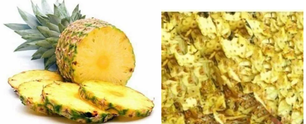 Gambar 1. Buah Nanas (Ananas comosus L. Merr) dan Kulit Nanas  (Ananas comosus L. Merr)