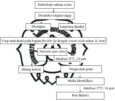 Gambar 3.1 Skema Rancangan Penelitian 