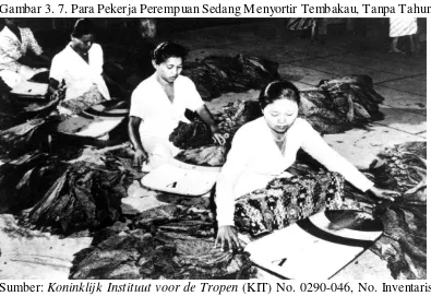 Gambar 3. 7. Para Pekerja Perempuan Sedang Menyortir Tembakau, Tanpa Tahun 