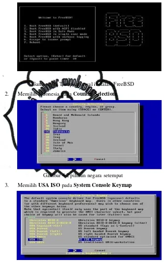 Gambar 4.1 Tampilan awal instalasi FreeBSD 