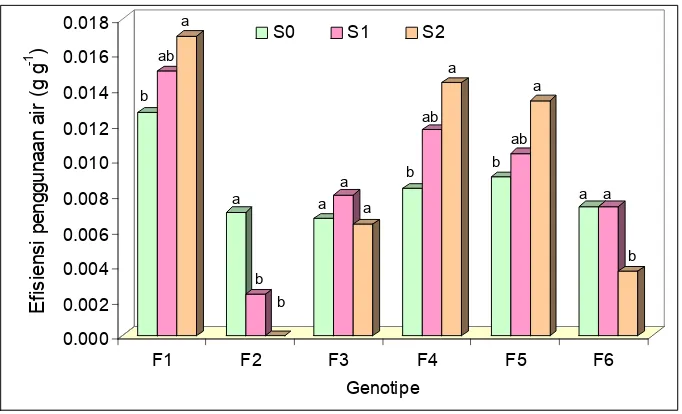 Gambar 2Efesiensi penggunaan air pada enam genotipe jagung pada kondisioptimum (S0), periode cekaman kekeringan saat 12 hari menjelangberbunga sampai 12 hari setelah berbunga (S1), dan periode cekamankekeringan saat 12 hari menjelang berbunga sampai masak fisiologis(S2).