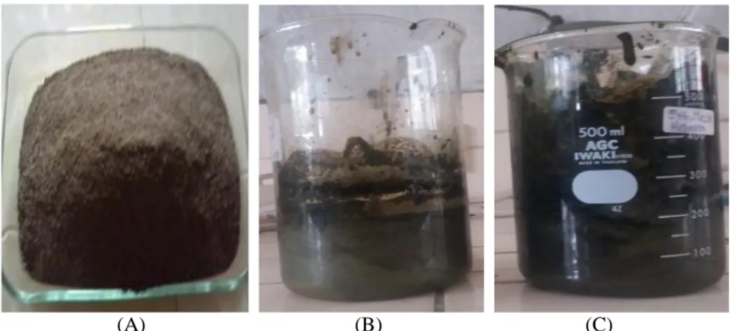 Gambar  1. (A) Serbuk; (B)  Ekstrak methanol; (C) Ekstrak etil asetat daun D. pentandra (L.) Miq