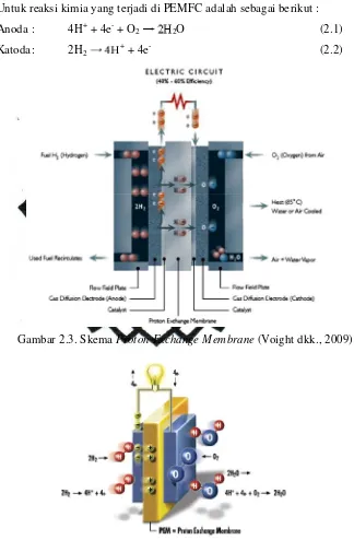 Gambar 2.3. Skema Proton Exchange Membrane (Voight dkk., 2009) 