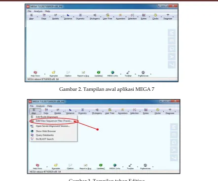 Gambar 3. Tampilan tahap Editing  