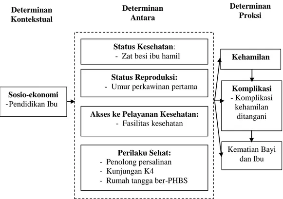Gambar  2.1  Model  Konseptual  Hubungan  Kematian  Bayi  dan  Ibu  dengan  Faktor-Faktor  yang  Mempengaruhi  di  Provinsi  Jawa  Timur  Tahun 2013 