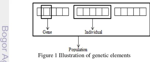 Figure 1 Illustration of genetic elements 