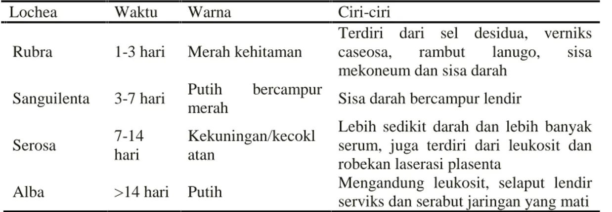 Tabel 4 Jenis – jenis Lochea