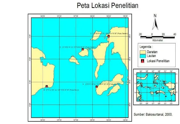 Gambar 3 Lokasi penelitian, Perairan Maluku 