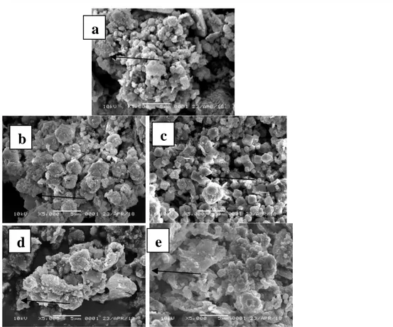 Gambar 3. Hasil analisis SEM zeolit tipe FAU diimpregnasi dengan variasi larutan logam 