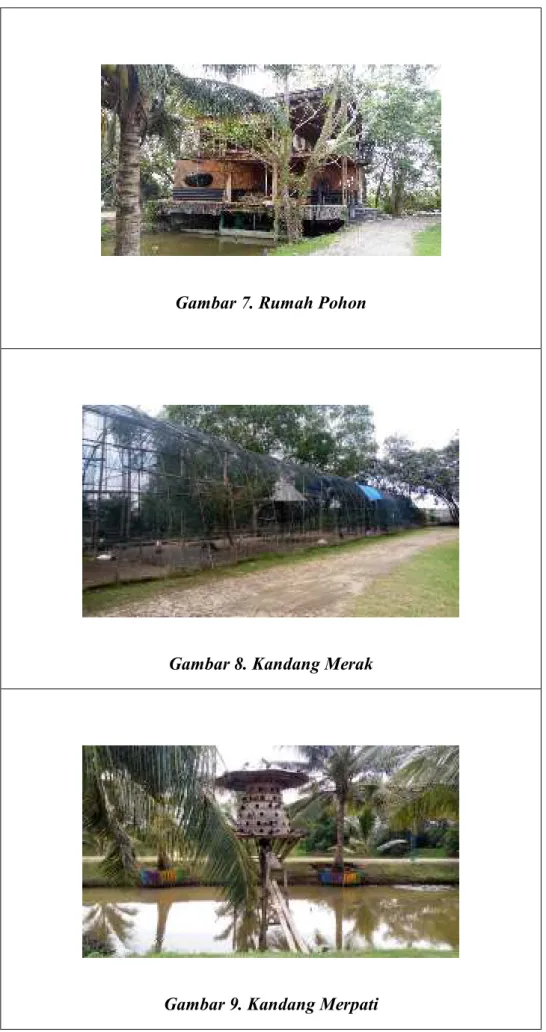Gambar 7. Rumah Pohon 