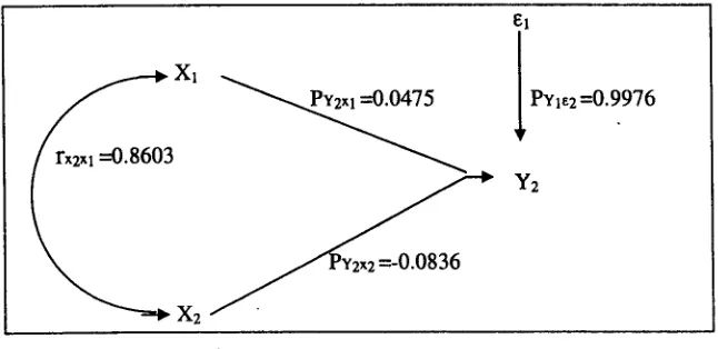 Gambar 1 : Koefisien jalur struktur hubungan antara variabel X I , X2 dengan Y2