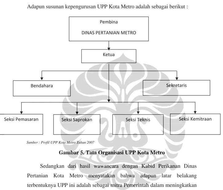 Gambar 5. Tata Organisasi UPP Kota Metro 