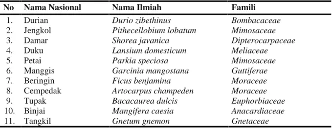 Tabel 1. Jenis tumbuhan pada vegetasi di Repong Damar, Pekon Pahmungan, Kecamatan Pesisir   Tengah, Kabupaten Lampung Barat.