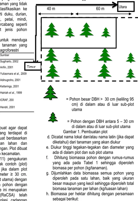Tabel  1.  Rumus-rumus  allometrik  untuk  menduga  biomassa  beberapa  jenis  tanaman  yang  umum ditanam pada lahan agroforestri 