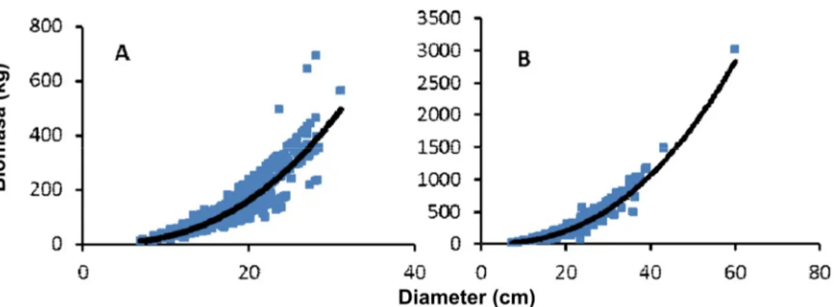 Gambar 1.  Estimasi  biomasa  tegakan  pinus  dengan  persamaan  alometrik  berdasarkan diameter,  Biomasa =  0,086 Diameter  0,2583 ; R 2  = 0,887 pada umur pinus 17 tahun (A), dan Biomasa = 0,1522 Diameter
