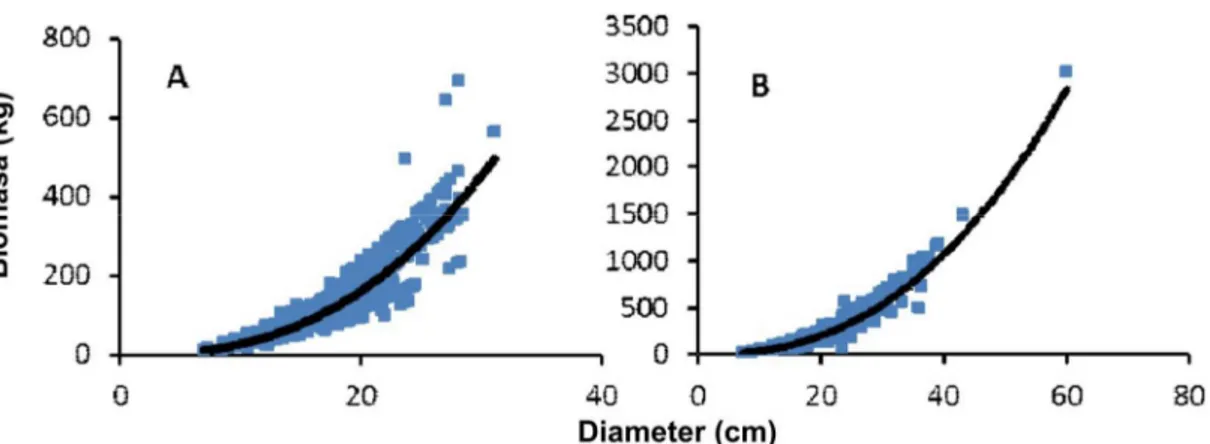 Gambar 1.  Estimasi  biomasa  tegakan  pinus  dengan  persamaan  alometrik  berdasarkan diameter,  Biomasa =  0,086 Diameter  0,2583 ; R 2  = 0,887 pada umur pinus 17 tahun (A), dan Biomasa = 0,1522 Diameter