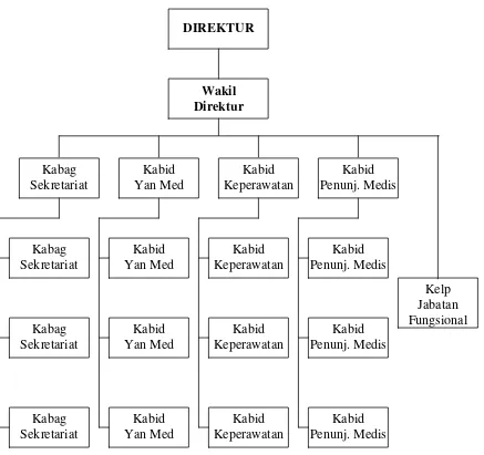 Gambar 4.1. Struktur Organisasi Rumah Sakit 