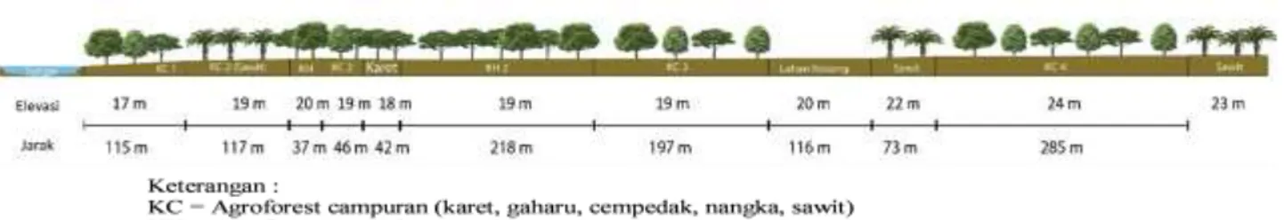 Gambar 3 Tansek dari Sungai Sekonyer sampai perkebunan kelapa sawit di Desa Sekonyer (Skala 1:1000) 