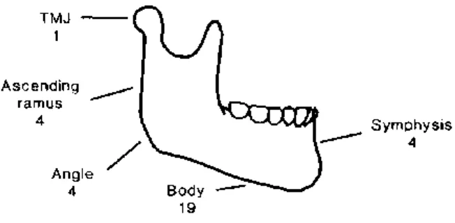 Gambar 1: Gambar anatomi maksila yang bisa terlibat osteosarkoma.9 