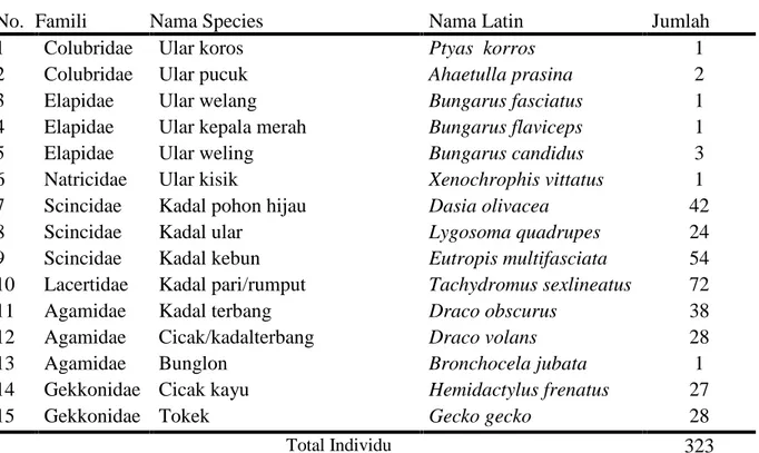 Tabel 1. Spesies-spesies  reptil  yang  terdapat  di Pekon  Pahmungan Kecamatan KruiKabupaten  Pesisir Barat Juni 2015.
