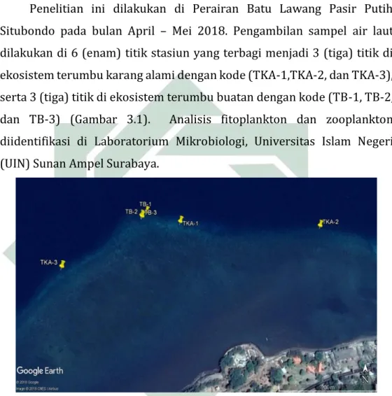 Gambar 3.1. Peta Lokasi Penelitian Perairan Batu Lawang Pasir Putih, Situbondo  (Sumber : Google Earth, 2018).
