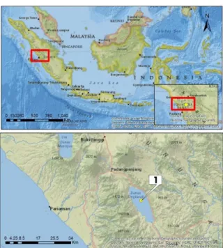Gambar 1.  Peta titik pengambilan sampel Mystacoleucus padangensis di Danau Singkarak, Solok, Sumatera Barat 