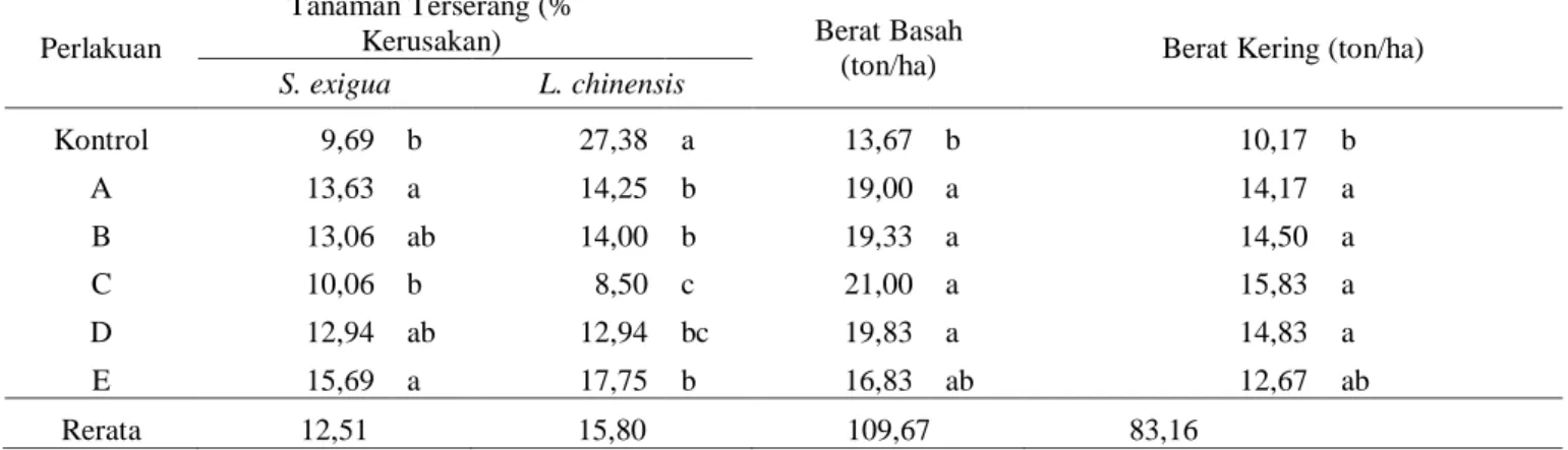 Tabel 2 Persentase Tanaman Terserang S. exigua dan L. chinensis, Berat Basah dan Berat Kering Tanaman Bawang Merah  Perlakuan 