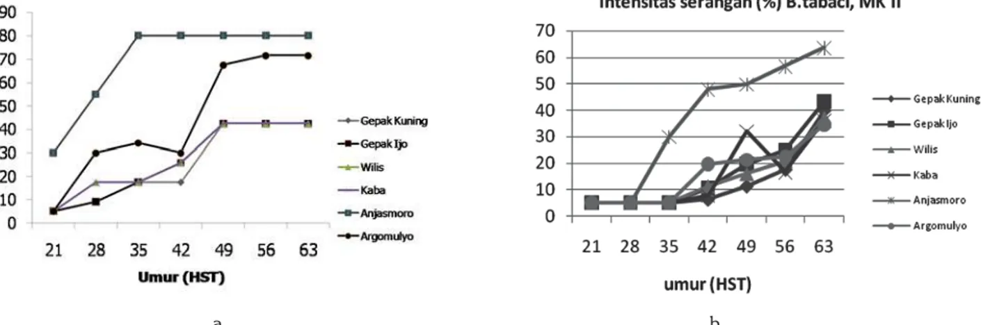 Tabel 2.  Pengaruh penggunaan jerami sebagai penutup tanah terhadap populasi telur, larva, kepompong dan lalat dewasa