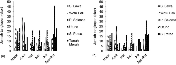 Gambar 4 a) Distribusi temporal ikan Telmatherina prognatha jantan dan b) Betina yang diperoleh pada enam lokasi penelitian  selama bulan Maret  Agustus 2018