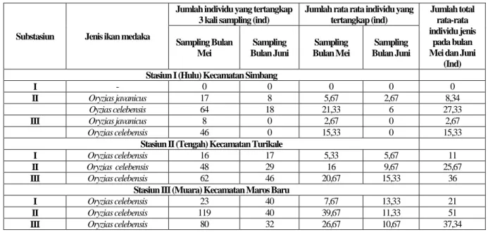Tabel 1. Jenis dan  Jumlah  Rata-rata Individu Spesies Ikan  Medaka yang Tertangkap pada Setiap Stasiun Penelitian 