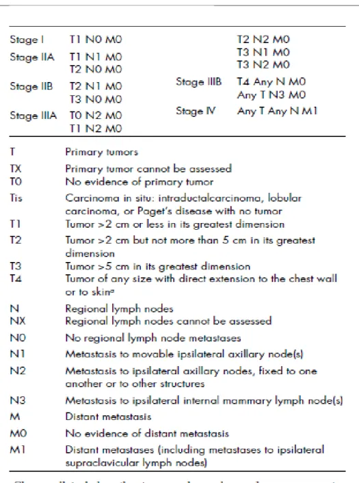 Tabel 2.1  Staging Tumor Payudara berdasarkan AJCC 
