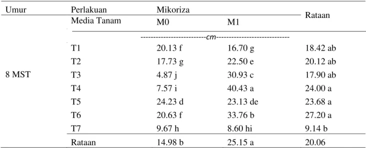 Tabel  1.  Pertambahan  panjang  sulur  mucuna  dengan  media  tanam  limbah  kelapa  sawit  dan  pemberian mikoriza pada umur 8 MST 
