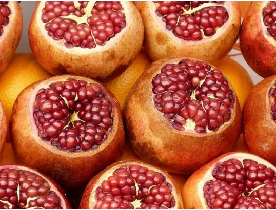 Gambar Buah Tin