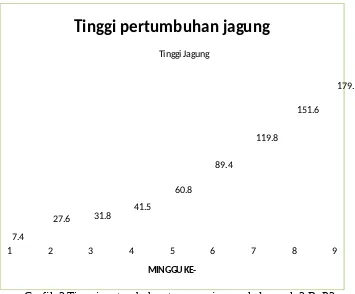 Grafik 1 Tinggi pertumbuhan tanaman jagung kelompok 1 BP2