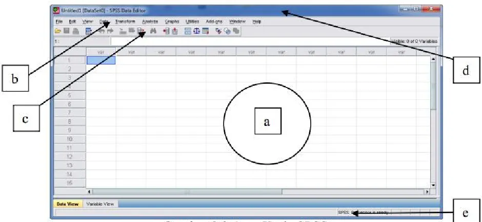 Gambar 2.4 Area Kerja SPSS