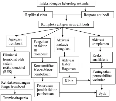 Gambar 2.1. Hipotesis secondary heterologous infection (Suhendro, 2006).  