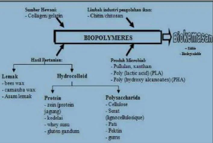 Gambar  2.4  Polimer biodegradabel sebagai bahan biokemasan 