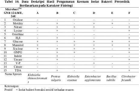 Tabel 10. Data Deskripsi Hasil Pengamatan Keenam Isolat Bakteri Proteolitik 