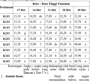 Tabel 2. Pengaruh Dosis Pupuk dan Jarak Tanam terhadap rata – rata tinggi tanaman Kacang Hijau