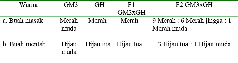 Tabel 3. Warna Buah Persilangan GM3xGH 