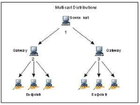Gambar 2.11: Alamat Multicast IPv6 