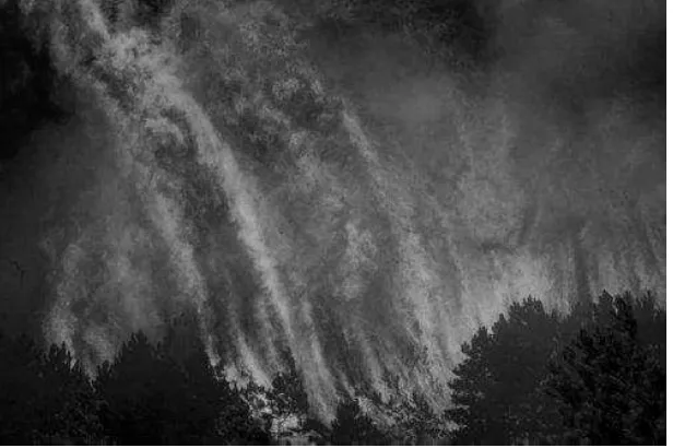 Gambar 2.11. Kebakaran hutan 
