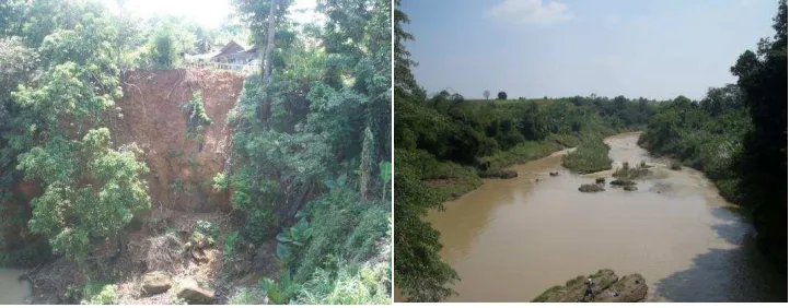 Gambar 2.2 Longsor tebing dan Bar hasil sedimentasi 